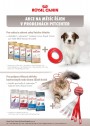 Pet Center