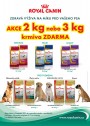 Pet Center