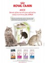 Pet Center